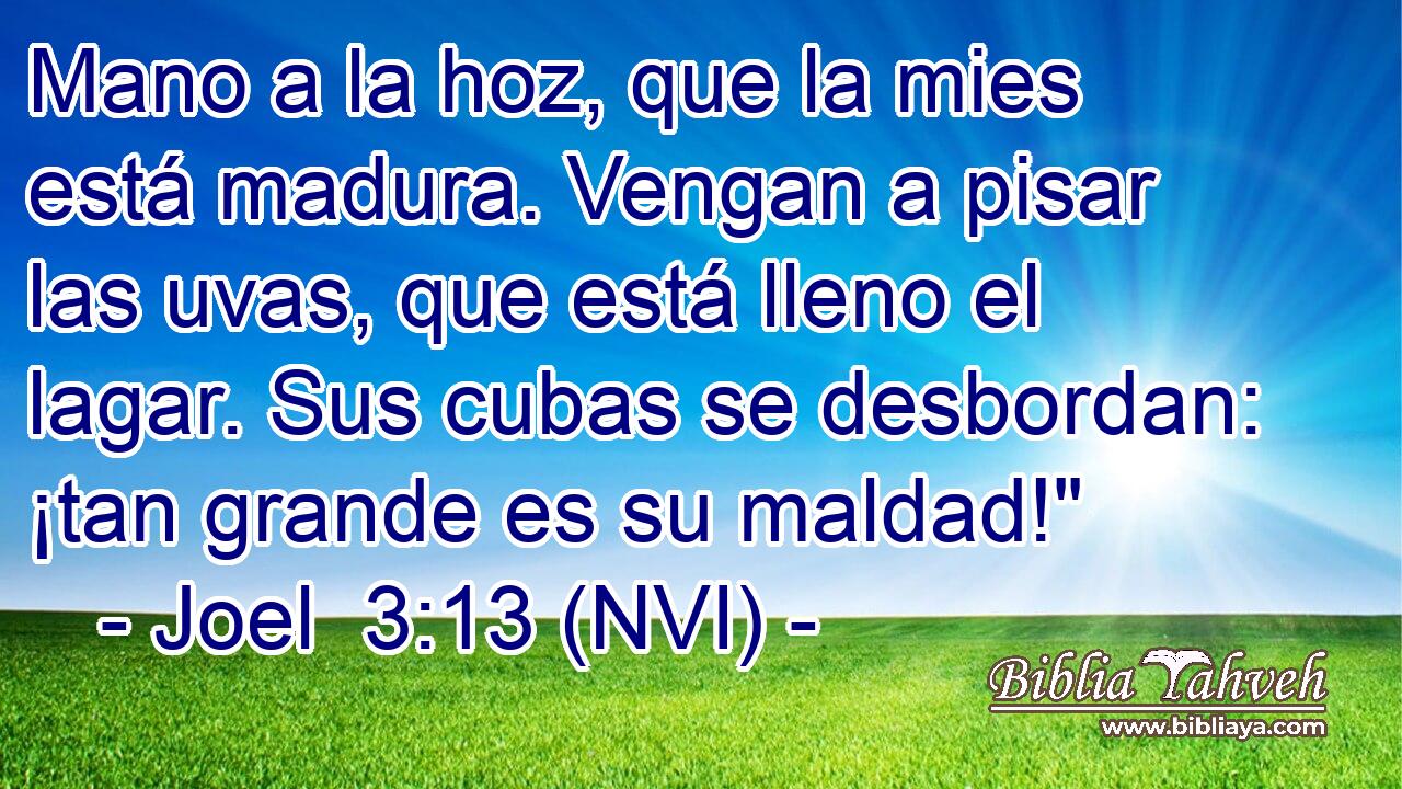  Mano a la hoz, que la mies está madura. Vengan a pisar las uvas, que está lleno el lagar. Sus cubas se desbordan: ¡tan grande es su maldad!