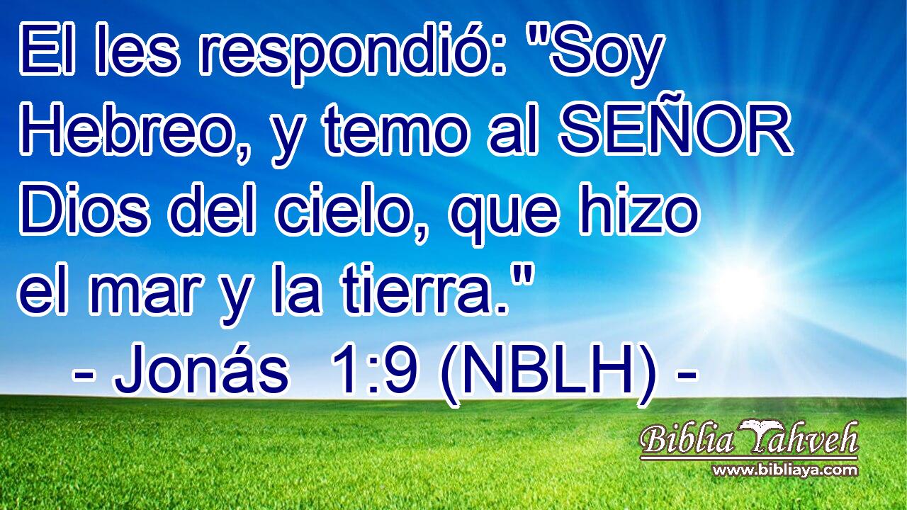  El les respondió: 