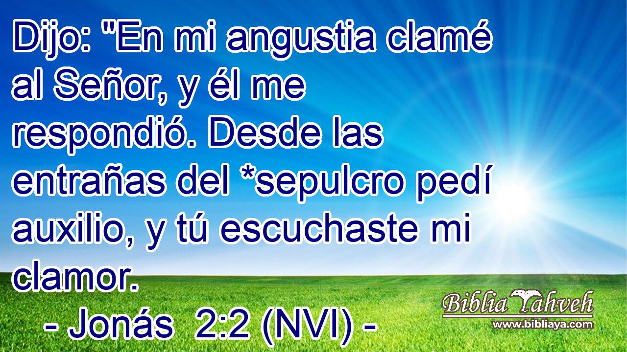  Dijo: 