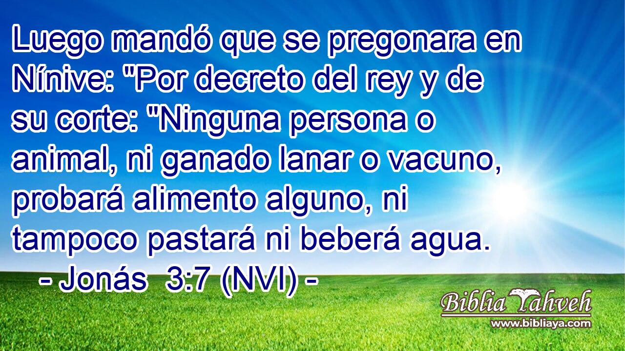  Luego mandó que se pregonara en Nínive: 