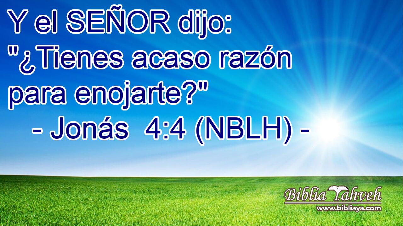 Y el SEÑOR dijo: 