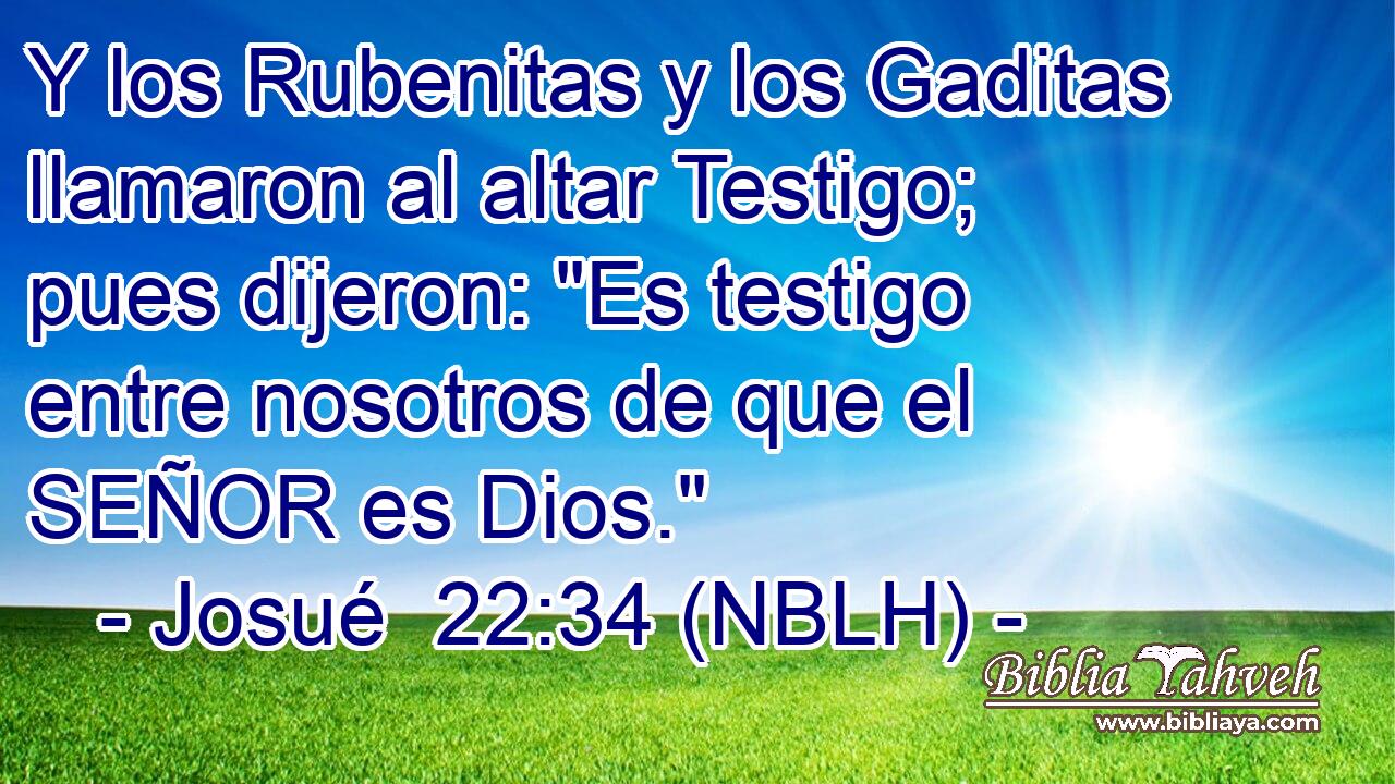  Y los Rubenitas y los Gaditas llamaron al altar Testigo; pues dijeron: 