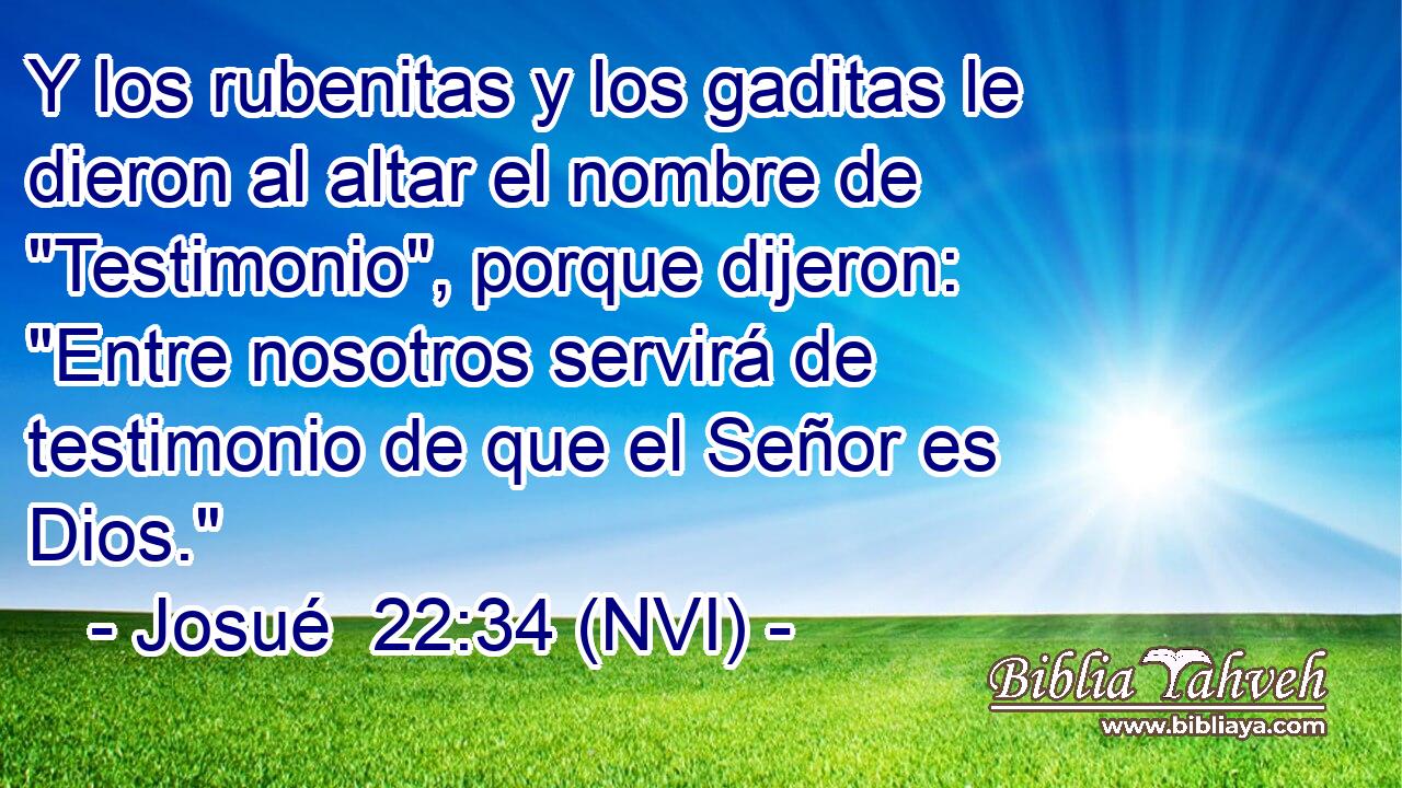  Y los rubenitas y los gaditas le dieron al altar el nombre de 