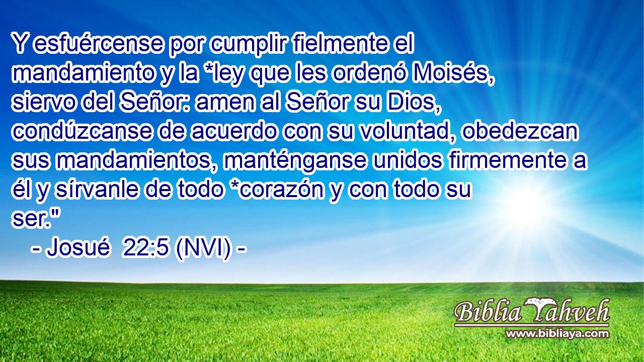  Y esfuércense por cumplir fielmente el mandamiento y la *ley que les ordenó Moisés, siervo del Señor: amen al Señor su Dios, condúzcanse de acuerdo con su voluntad, obedezcan sus mandamientos, manténganse unidos firmemente a él y sírvanle de todo *corazón y con todo su ser.