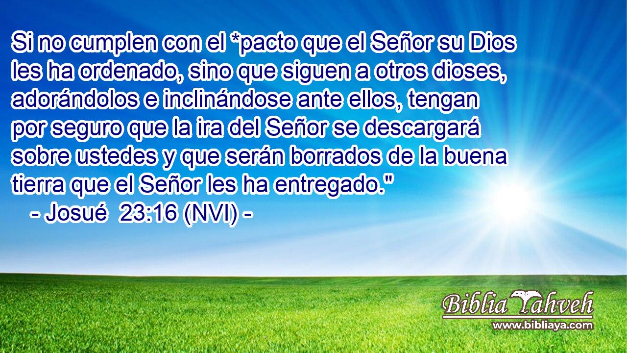  Si no cumplen con el *pacto que el Señor su Dios les ha ordenado, sino que siguen a otros dioses, adorándolos e inclinándose ante ellos, tengan por seguro que la ira del Señor se descargará sobre ustedes y que serán borrados de la buena tierra que el Señor les ha entregado.