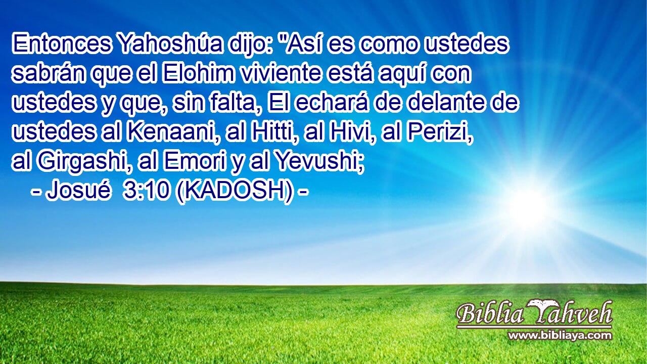  Entonces Yahoshúa dijo: 