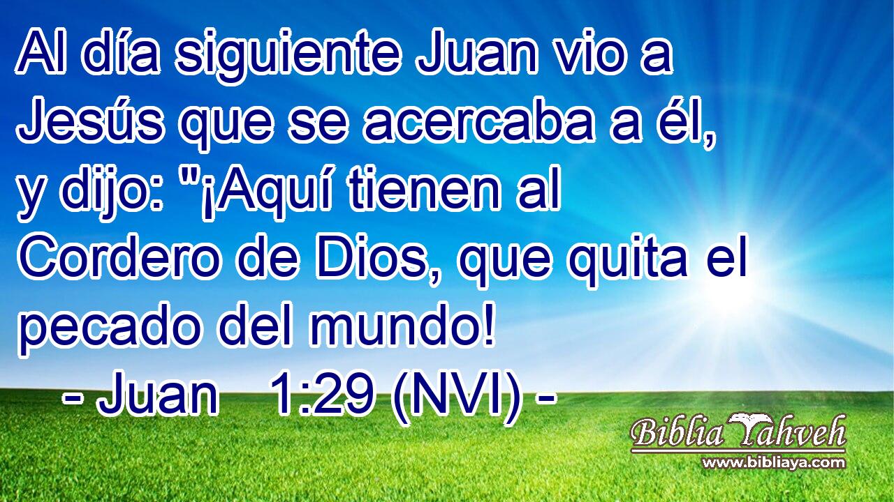  Al día siguiente Juan vio a Jesús que se acercaba a él, y dijo: 