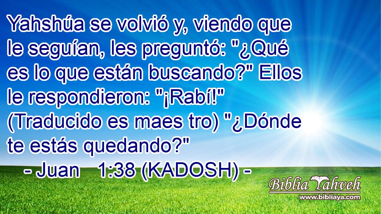  Yahshúa se volvió y, viendo que le seguían, les preguntó: 