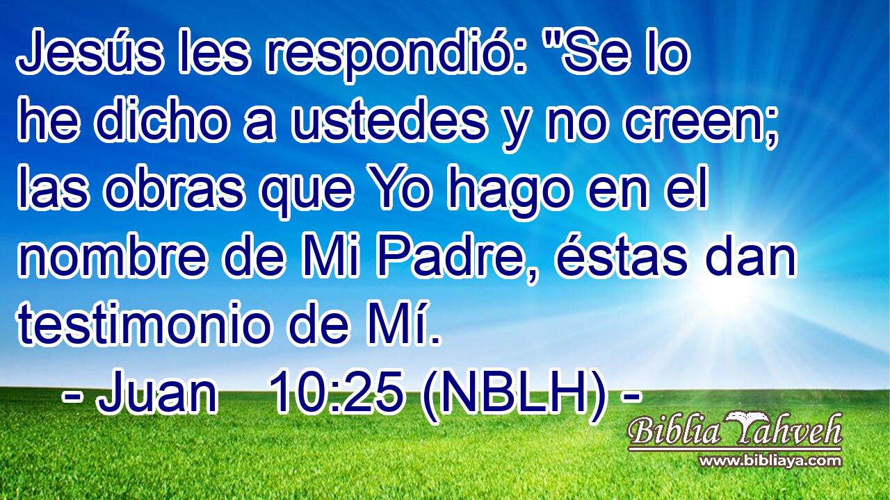  Jesús les respondió: 
