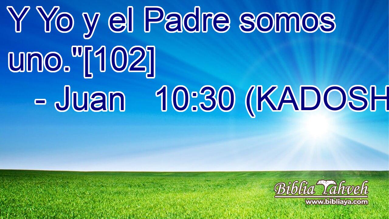  Y Yo y el Padre somos uno.