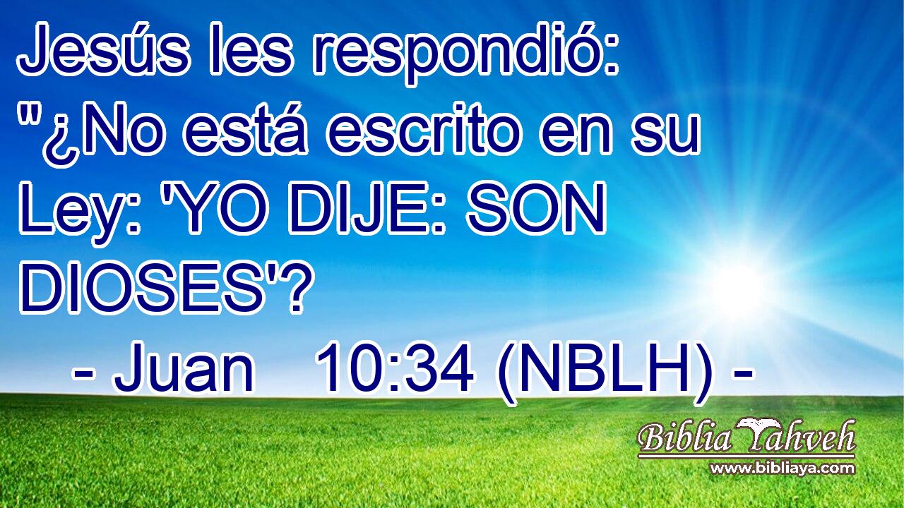  Jesús les respondió: 