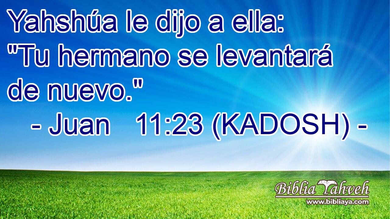  Yahshúa le dijo a ella: 