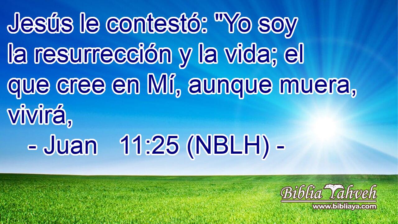  Jesús le contestó: 