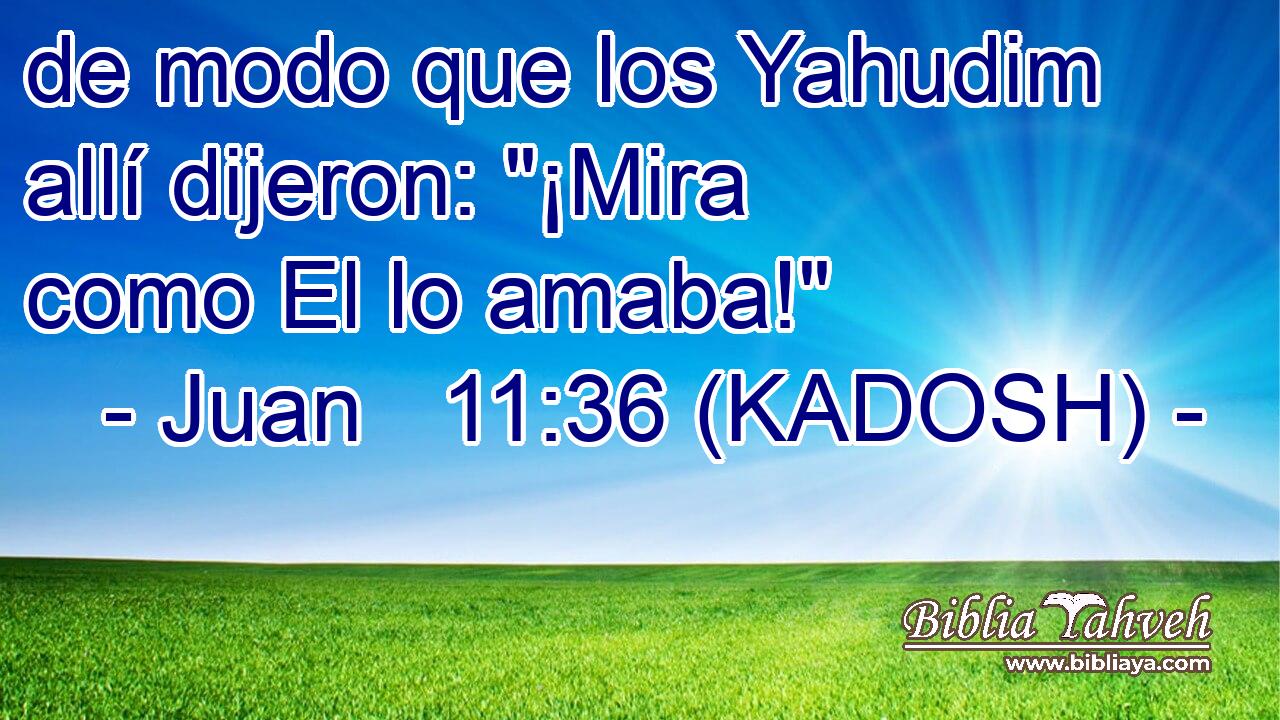  de modo que los Yahudim allí dijeron: 