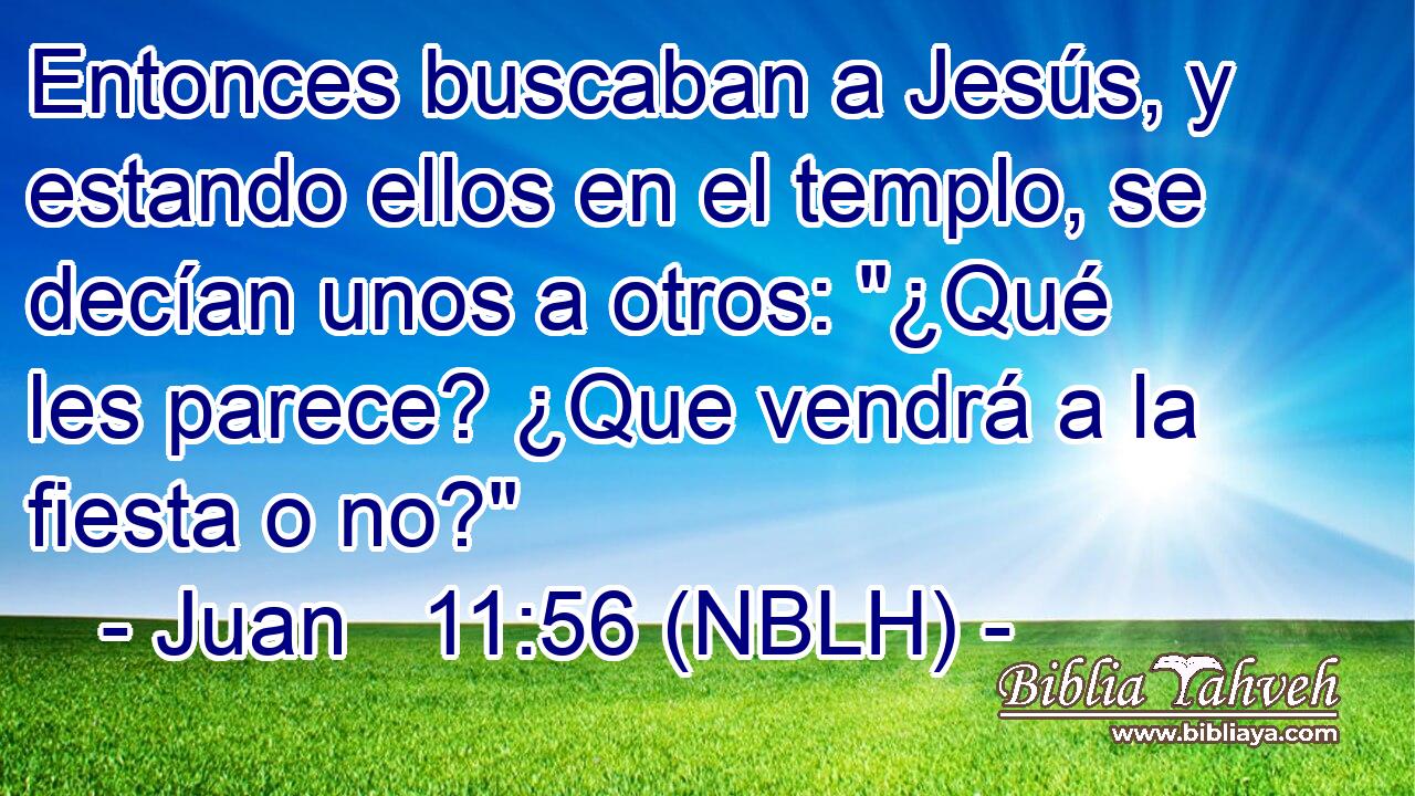  Entonces buscaban a Jesús, y estando ellos en el templo, se decían unos a otros: 