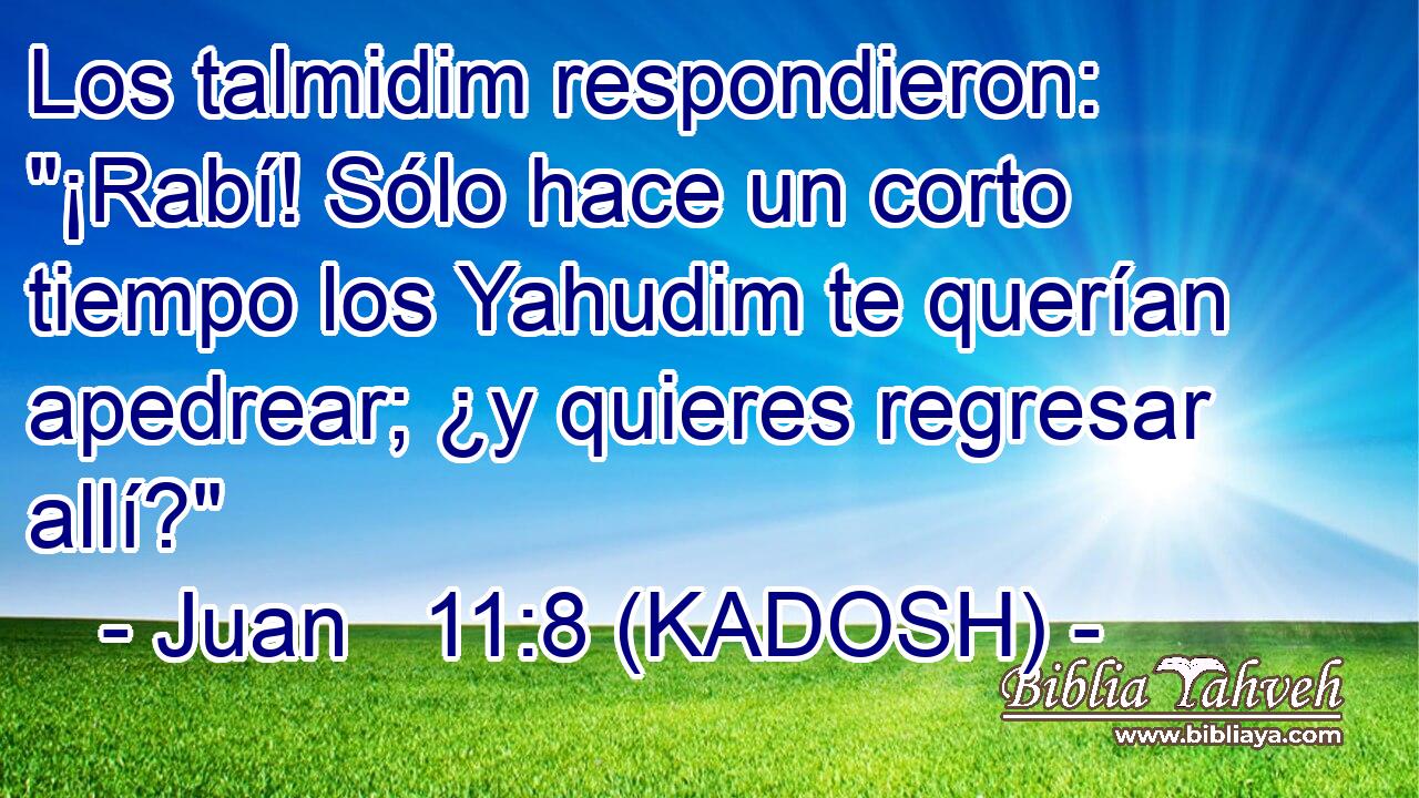  Los talmidim respondieron: 