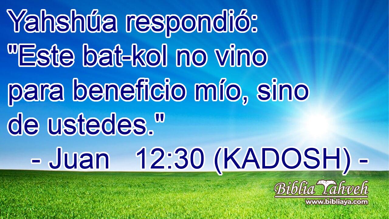  Yahshúa respondió: 
