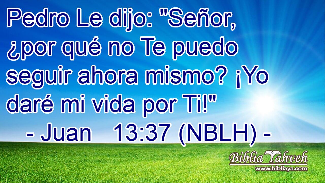  Pedro Le dijo: 