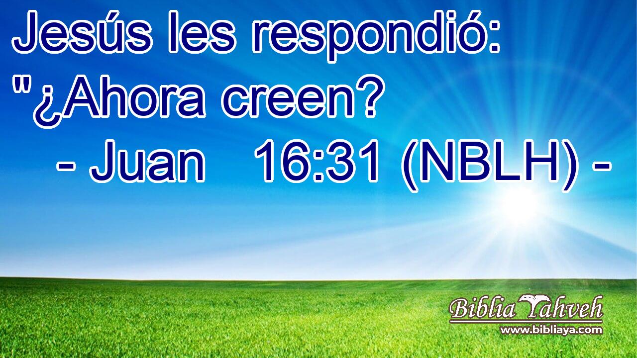  Jesús les respondió: 
