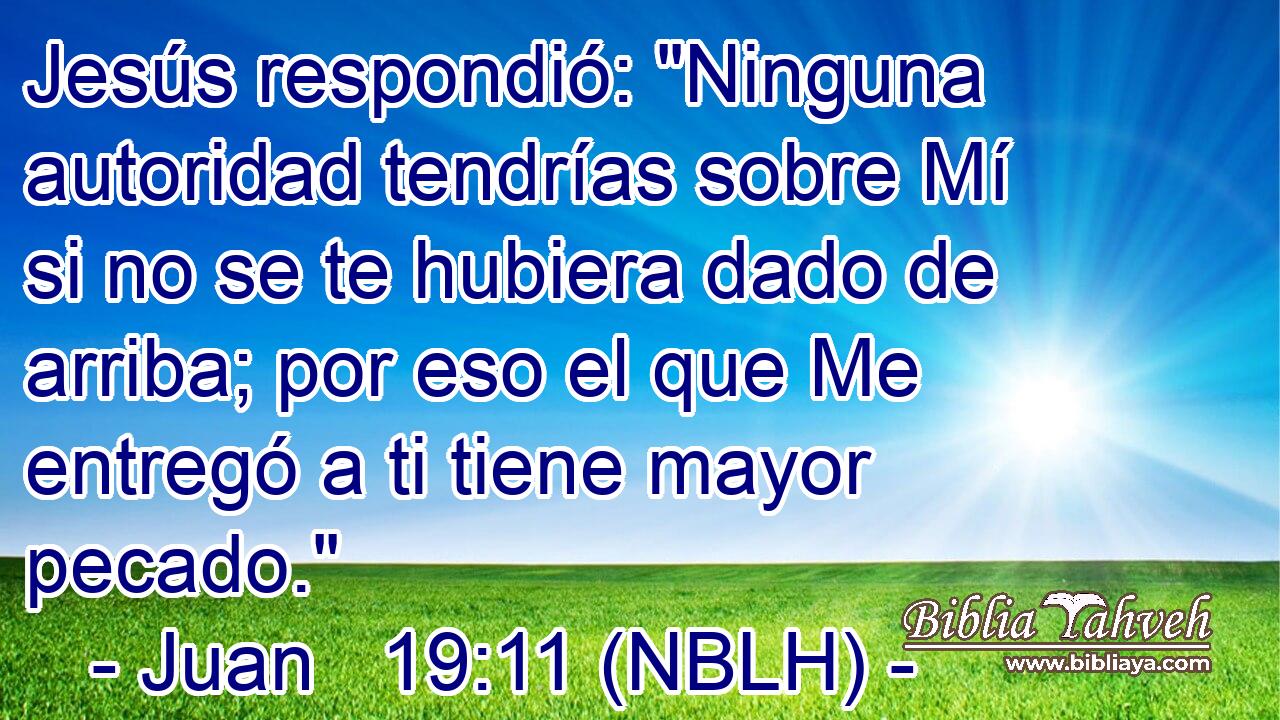  Jesús respondió: 