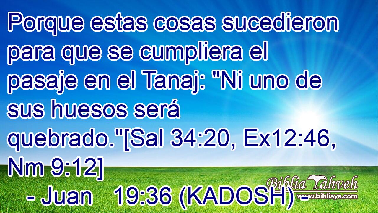  Porque estas cosas sucedieron para que se cumpliera el pasaje en el Tanaj: 