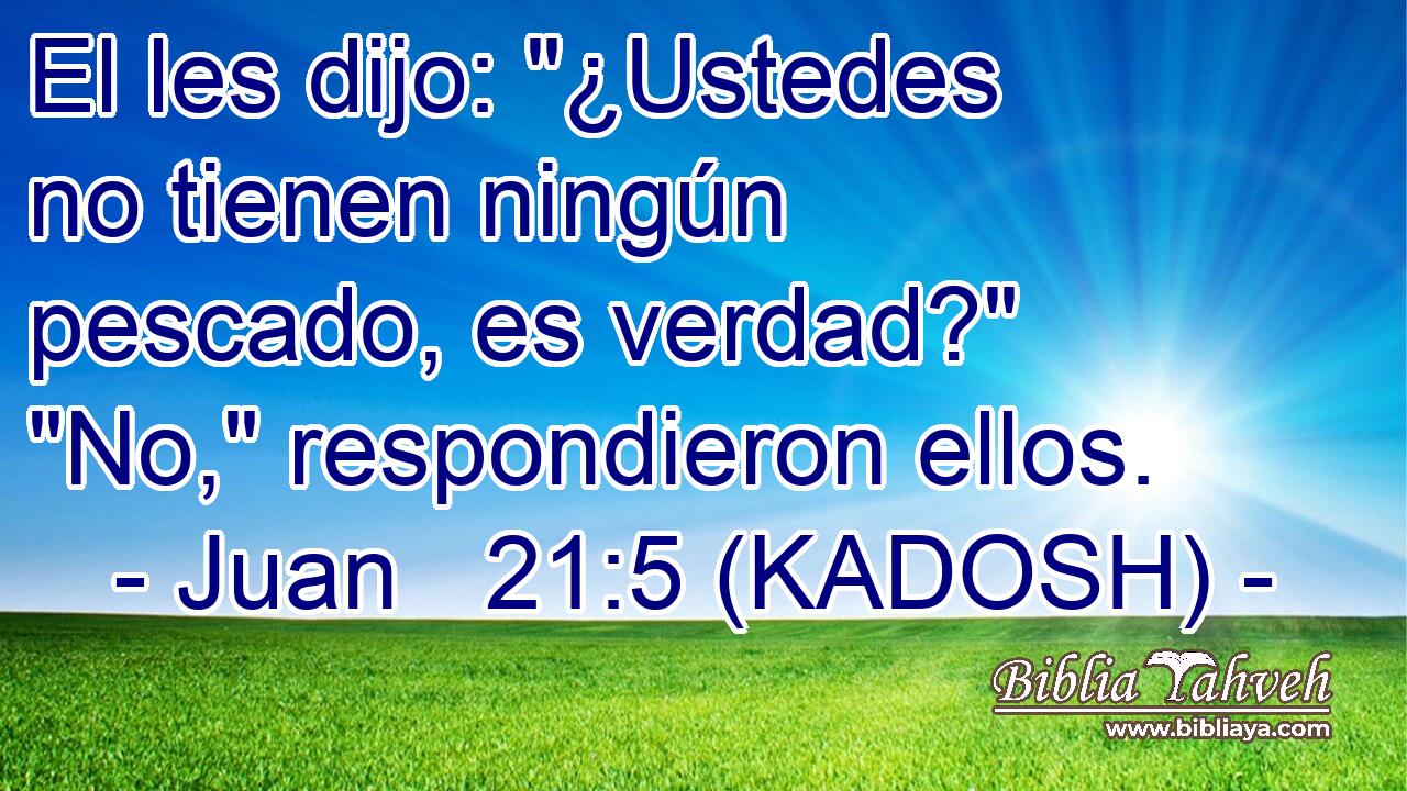  El les dijo: 