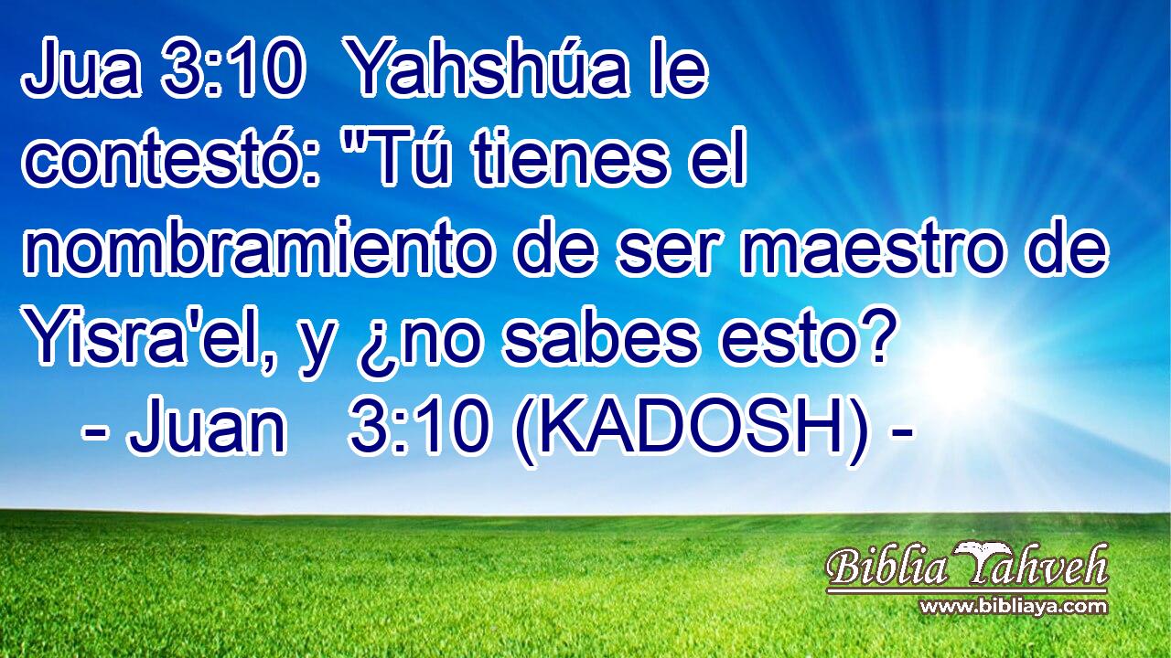  Yahshúa le contestó: 