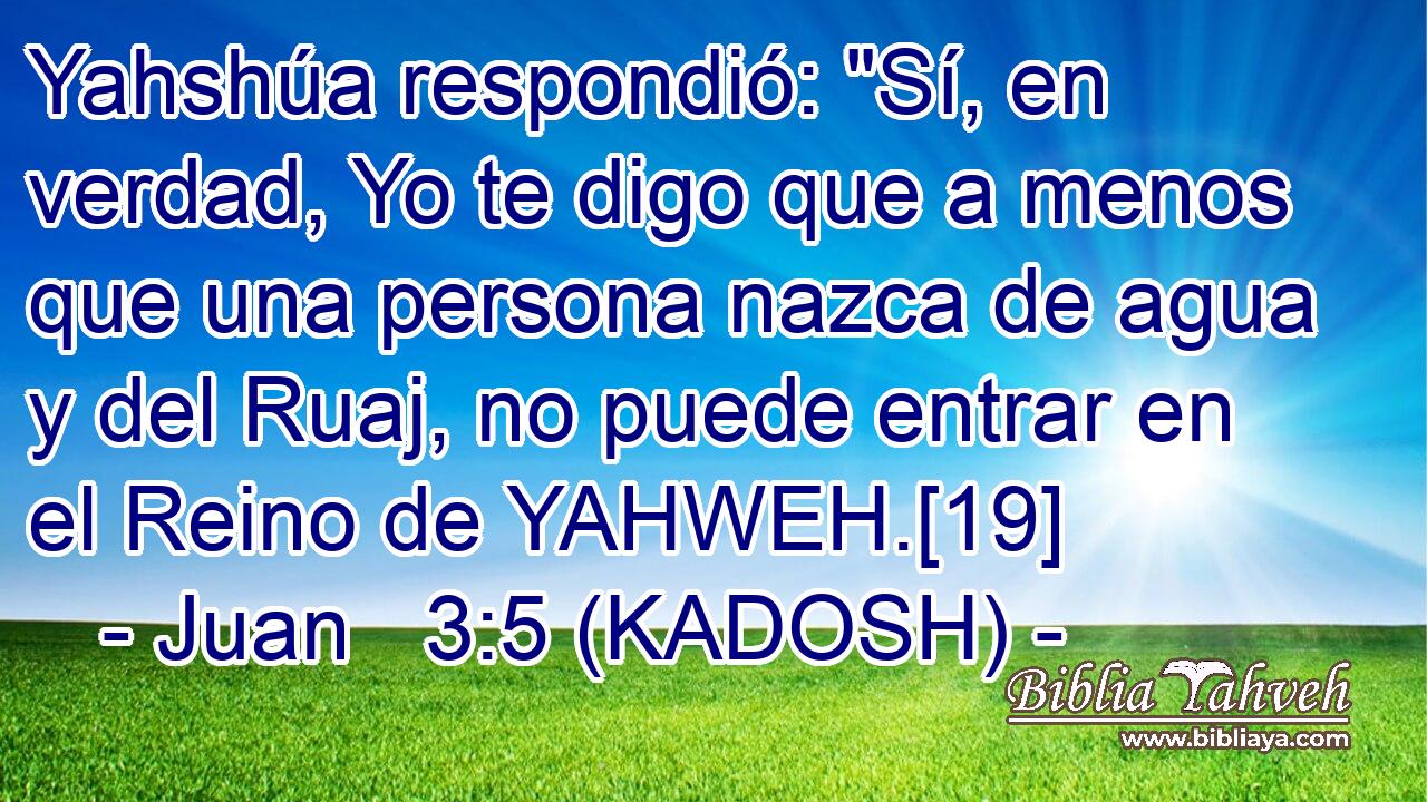  Yahshúa respondió: 