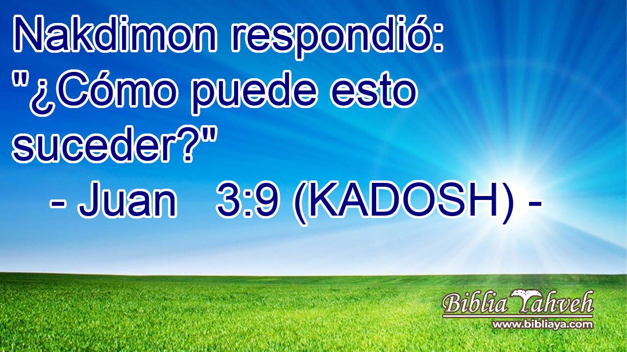  Nakdimon respondió: 