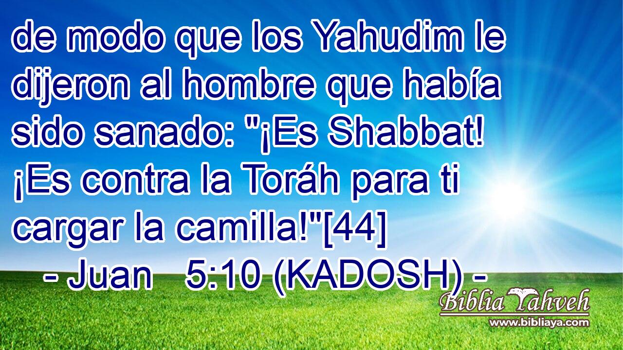  de modo que los Yahudim le dijeron al hombre que había sido sanado: 