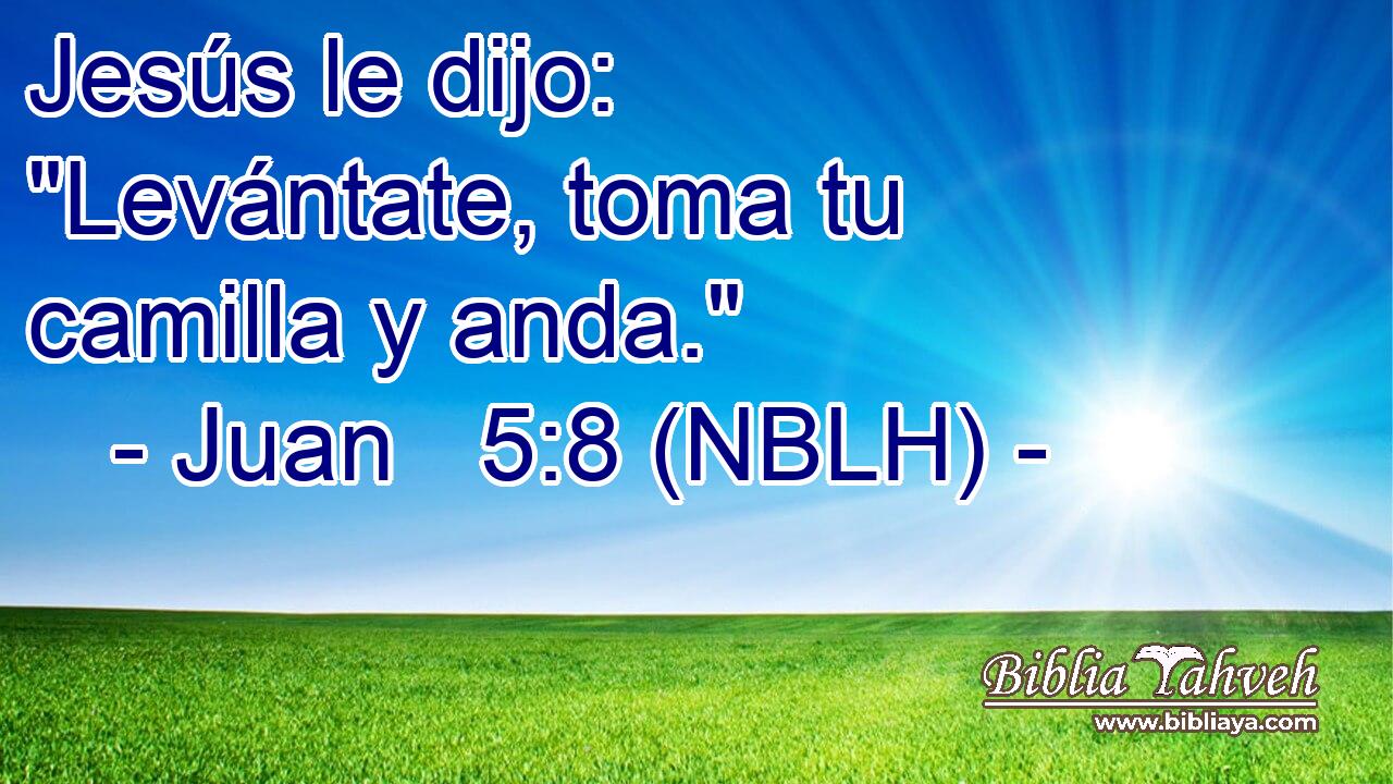  Jesús le dijo: 