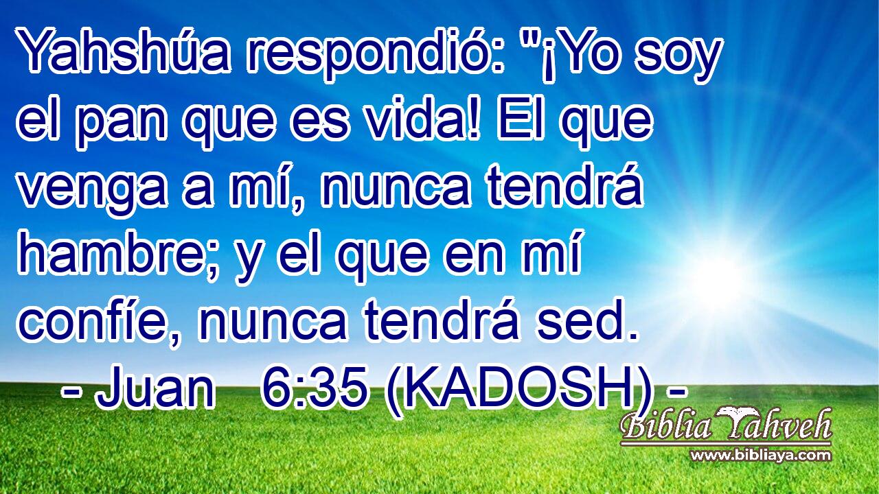  Yahshúa respondió: 