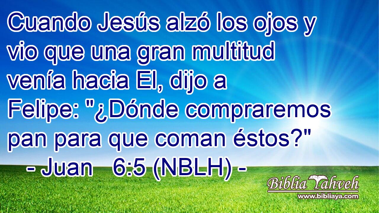  Cuando Jesús alzó los ojos y vio que una gran multitud venía hacia El, dijo a Felipe: 
