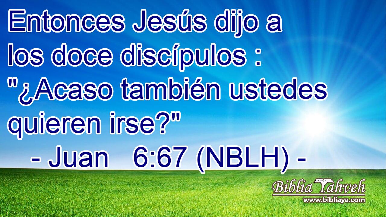  Entonces Jesús dijo a los doce discípulos : 