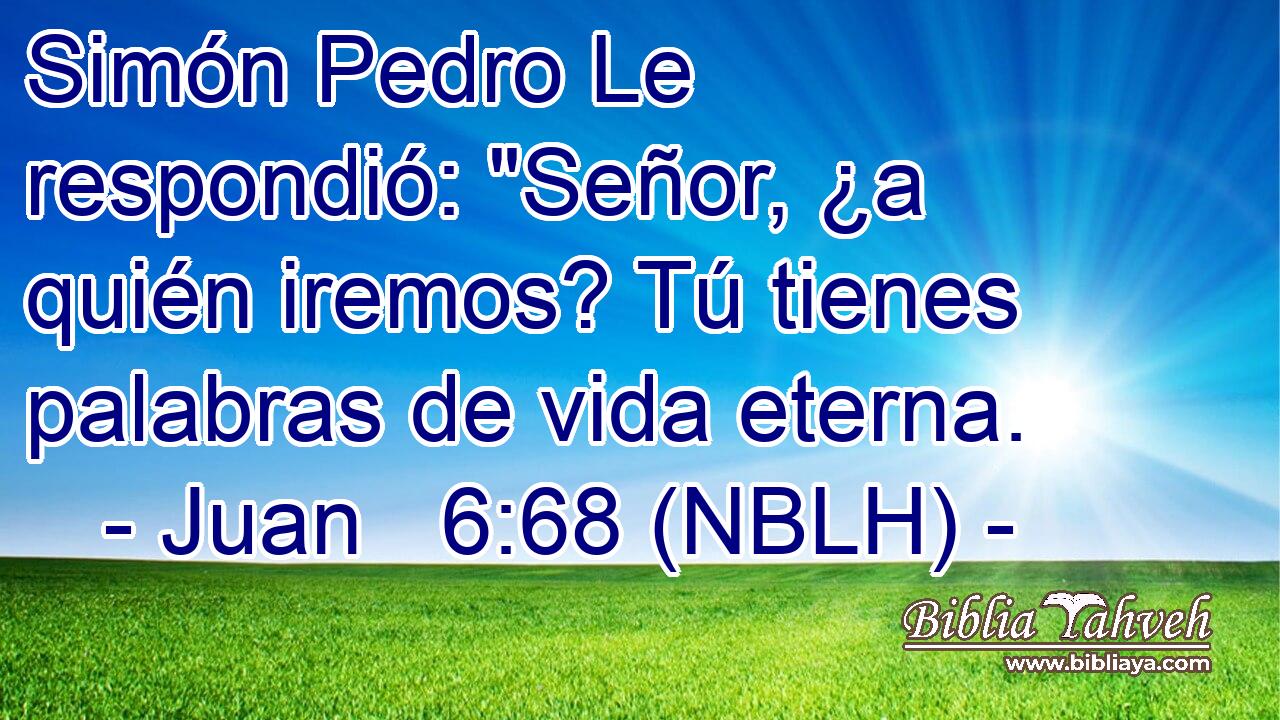  Simón Pedro Le respondió: 