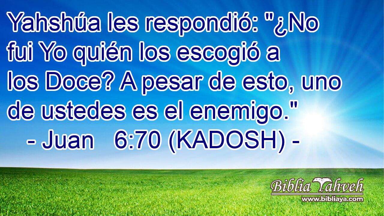  Yahshúa les respondió: 