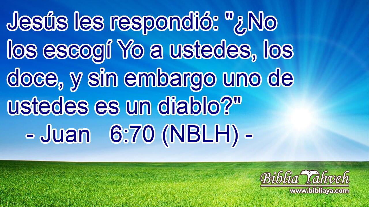  Jesús les respondió: 