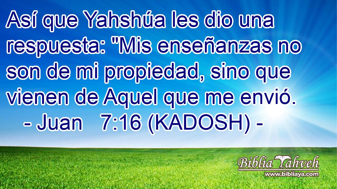  Así que Yahshúa les dio una respuesta: 