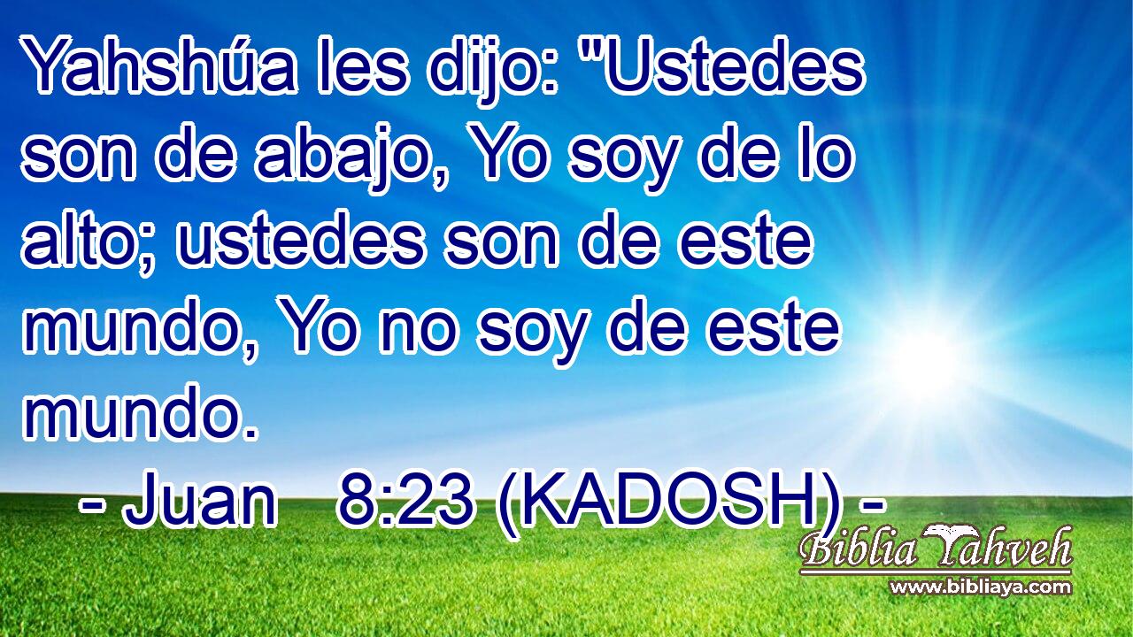  Yahshúa les dijo: 