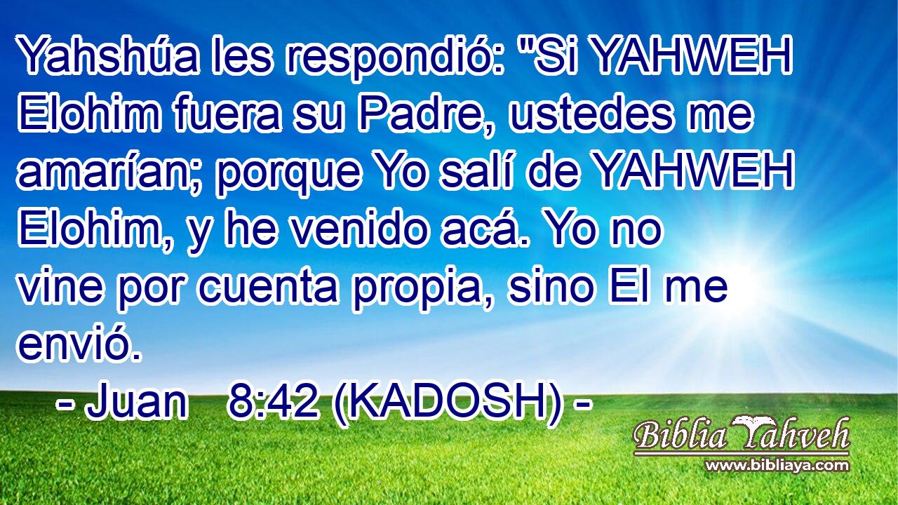  Yahshúa les respondió: 