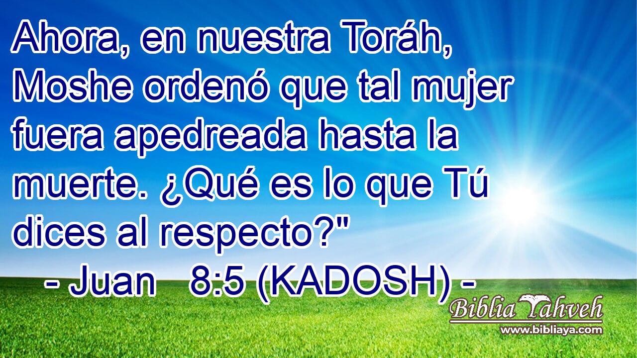  Ahora, en nuestra Toráh, Moshe ordenó que tal mujer fuera apedreada hasta la muerte. ¿Qué es lo que Tú dices al respecto?