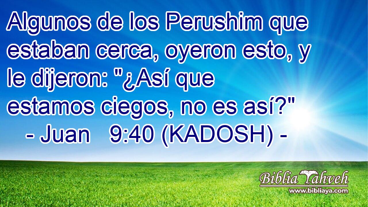  Algunos de los Perushim que estaban cerca, oyeron esto, y le dijeron: 