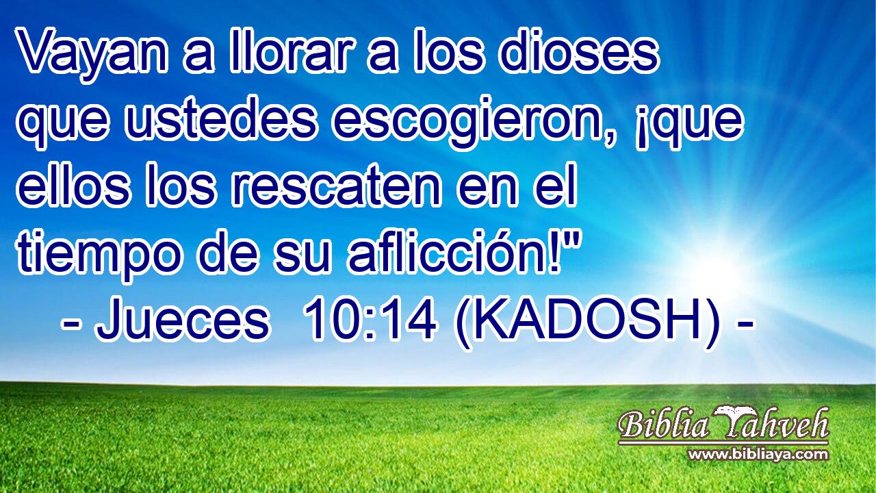  Vayan a llorar a los dioses que ustedes escogieron, ¡que ellos los rescaten en el tiempo de su aflicción!