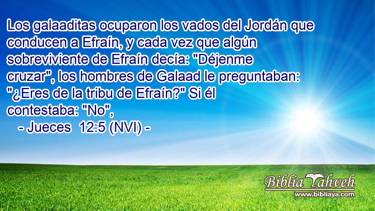  Los galaaditas ocuparon los vados del Jordán que conducen a Efraín, y cada vez que algún sobreviviente de Efraín decía: 