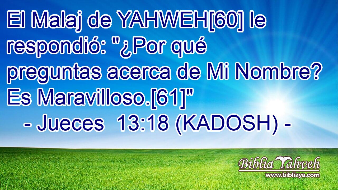  El Malaj de YAHWEH[60] le respondió: 
