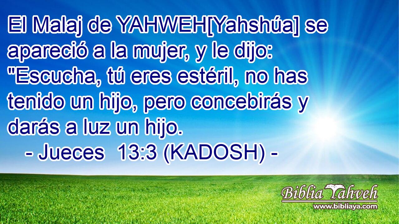  El Malaj de YAHWEH[Yahshúa] se apareció a la mujer, y le dijo: 