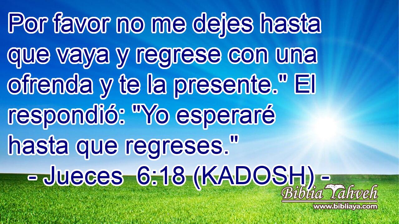  Por favor no me dejes hasta que vaya y regrese con una ofrenda y te la presente.