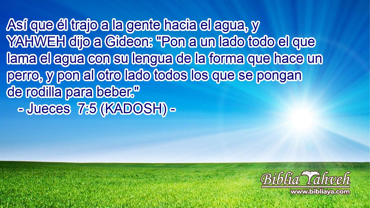  Así que él trajo a la gente hacia el agua, y YAHWEH dijo a Gideon: 