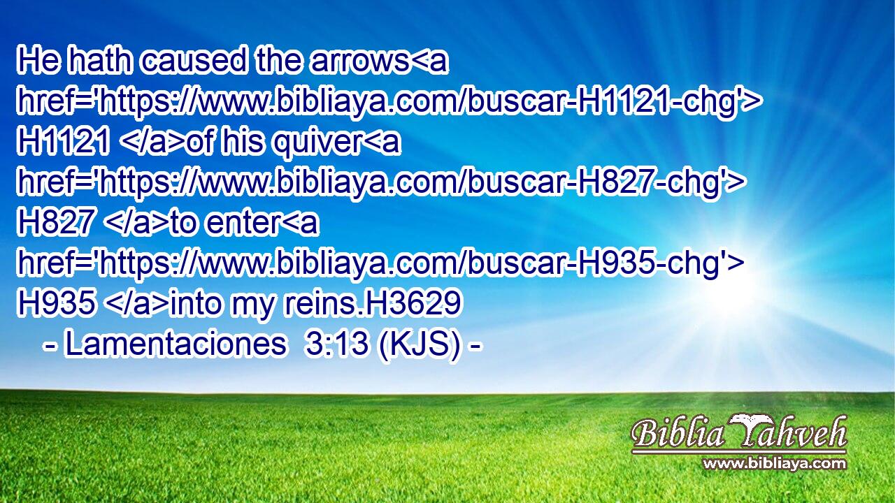 He hath caused the arrows H1121 of his quiver H827 to enter H935 into my reins.H3629