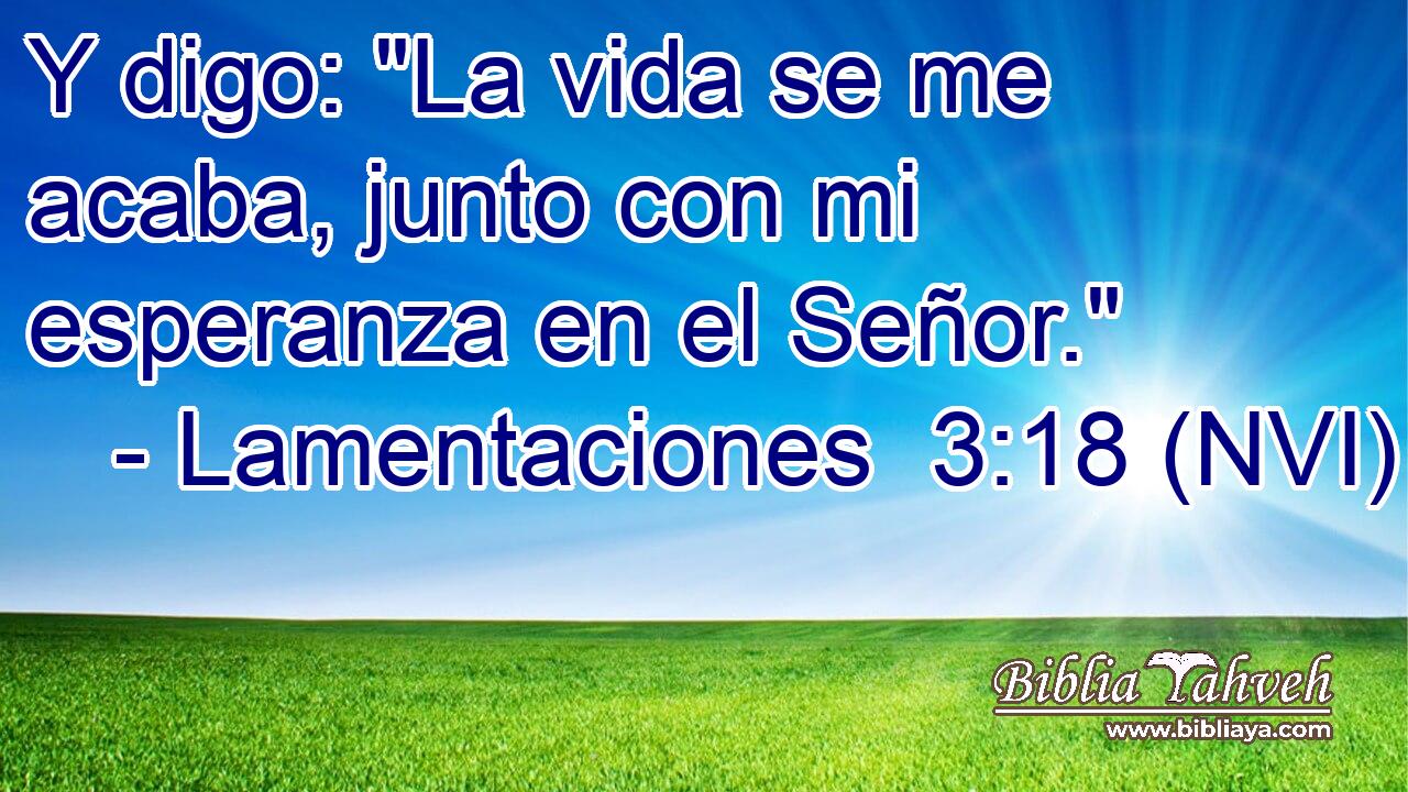  Y digo: 